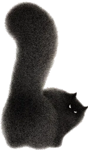 😾 Стикер «Night Cat» для Telegram