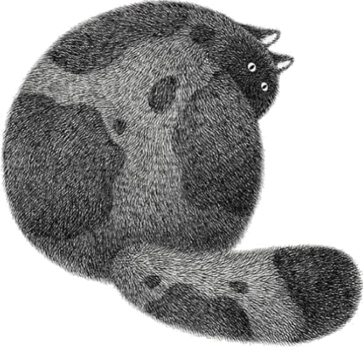 🤒 Стикер «Night Cat» для Telegram