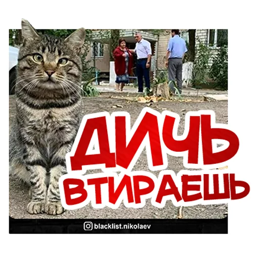 🤨 Стикер «Ждун и другие» для Telegram