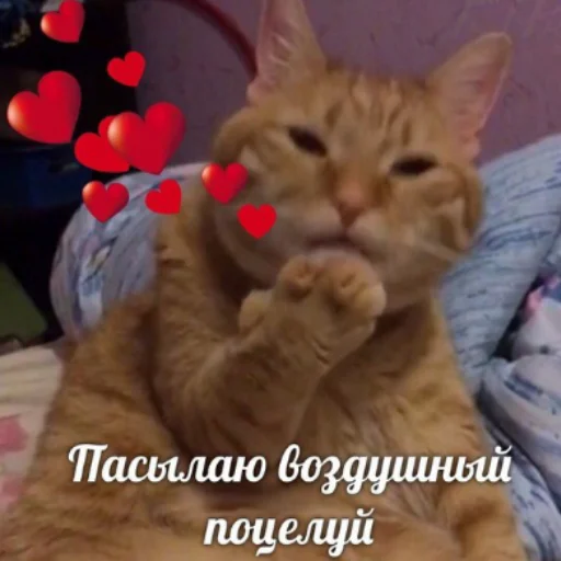 😘 Стикер «Ржомба» для Telegram