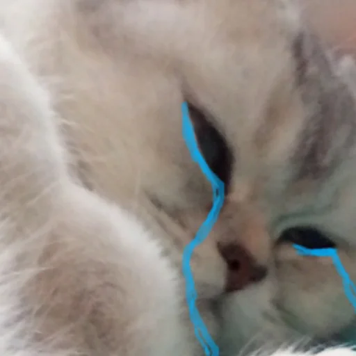 😭 Стикер «Ржомба» для Telegram