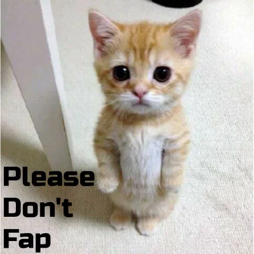 😢 Стикер «nofap120» для Telegram