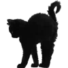🐈‍⬛ Эмодзи «noir» для Telegram