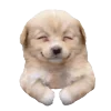 🤩 Эмодзи «Кто Глупый Я» для Telegram