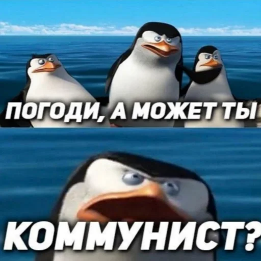 Стикерпак shutka для Telegram — скачать