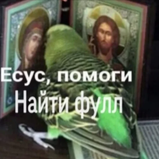 🔞 Стикер «shutka» для Telegram