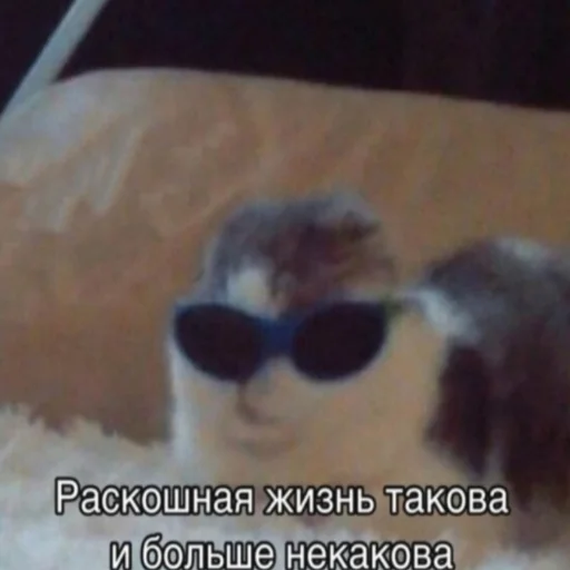 😎 Стикер «shutka» для Telegram