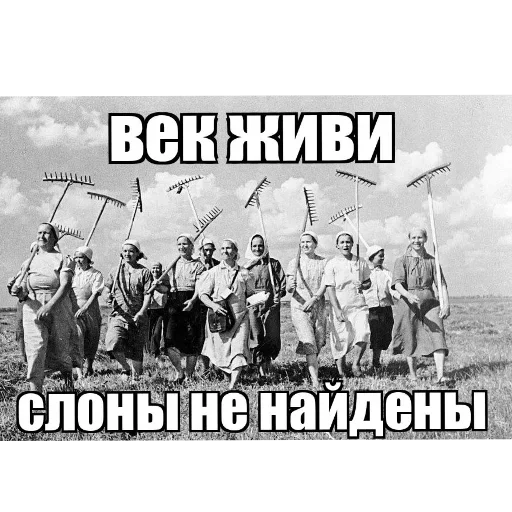 👥 Стикер «nomask gang» для Telegram