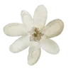 🌟 Эмодзи «ΔᥱЖᥱʙыᥱ» для Telegram
