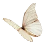 🌟 Эмодзи «ΔᥱЖᥱʙыᥱ» для Telegram