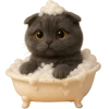 🛁 Эмодзи «Котик Нонг Дум» для Telegram