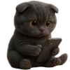 📱 Эмодзи «Котик Нонг Дум» для Telegram