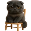 😞 Эмодзи «Котик Нонг Дум» для Telegram