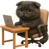 🤓 Эмодзи «Котик Нонг Дум» для Telegram