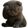 🤦‍♂ Эмодзи «Котик Нонг Дум» для Telegram