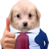 👍 Эмодзи «doggies» для Telegram