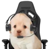 😎 Эмодзи «doggies» для Telegram