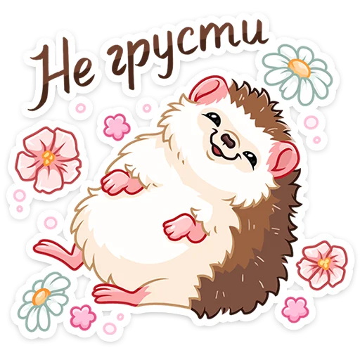 🙃 Стикер «пак раздают в вк бесплатно» для Telegram