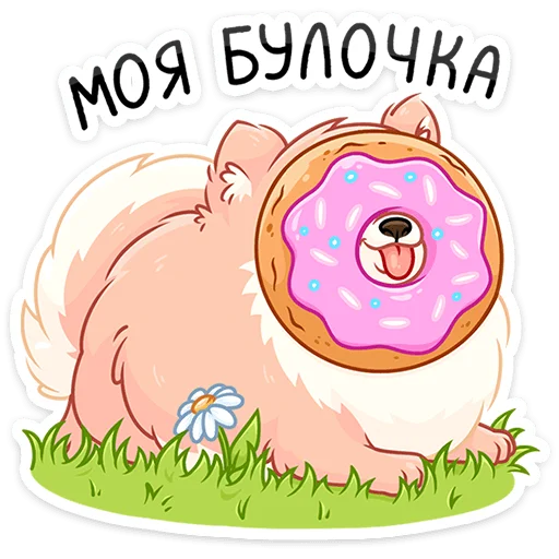 🍩 Стикер «пак раздают в вк бесплатно» для Telegram