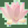 🪷 Эмодзи «Random #random #cute #status» для Telegram