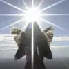 🕊️ Эмодзи «Random #random #cute #status» для Telegram