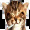 🚬 Эмодзи «Random #random #cute #status» для Telegram