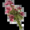🕊️ Эмодзи «Random #random #cute #status» для Telegram