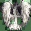 🪽 Эмодзи «Random #random #cute #status» для Telegram