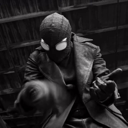 🤩 Стикер «Spider Noir» для Telegram