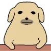 🐶 Эмодзи «Nudaeng dog» для Telegram