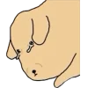 😥 Эмодзи «Nudaeng dog» для Telegram