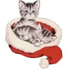 🐈 Эмодзи «𝑁𝑒𝑤 𝑌𝑒𝑎𝑟» для Telegram