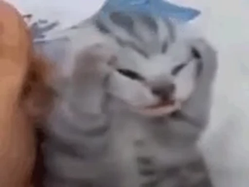 😡 Стикер «nekos UωU» для Telegram
