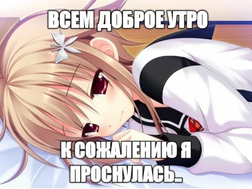 😴 Стикер «nyashki228» для Telegram