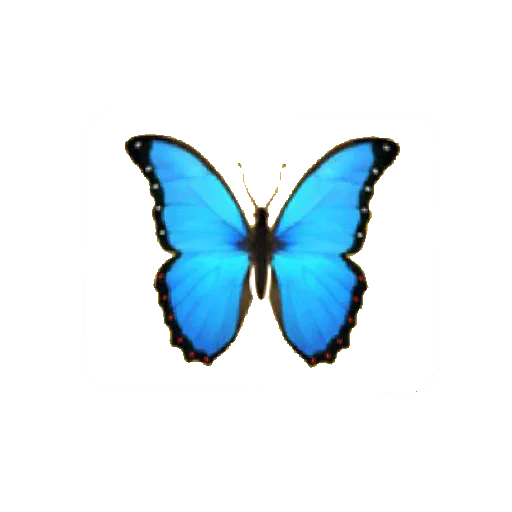 🦋 Стикер «nyashki_krashi_vaushki» для Telegram