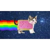 🤩 Эмодзи «Nyan Cat» для Telegram