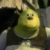 👾 Эмодзи «SHREK #status #other» для Telegram