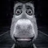 👾 Эмодзи «SHREK #status #other» для Telegram