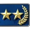 🫡 Эмодзи «CSGO RANKS #game #status» для Telegram