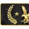 🫡 Эмодзи «CSGO RANKS #game #status» для Telegram