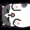 🐾 Эмодзи «oba cat» для Telegram