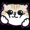 😊 Эмодзи «oba cat» для Telegram