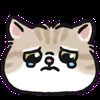 😢 Эмодзи «oba cat» для Telegram