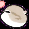 😘 Эмодзи «oba cat» для Telegram
