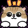 👀 Эмодзи «oba cat» для Telegram