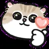 ❤️ Эмодзи «oba cat» для Telegram