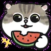 😋 Эмодзи «oba cat» для Telegram