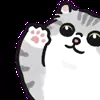 👋 Эмодзи «oba cat» для Telegram
