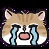 😭 Эмодзи «oba cat» для Telegram