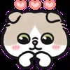 ❤️ Эмодзи «oba cat» для Telegram